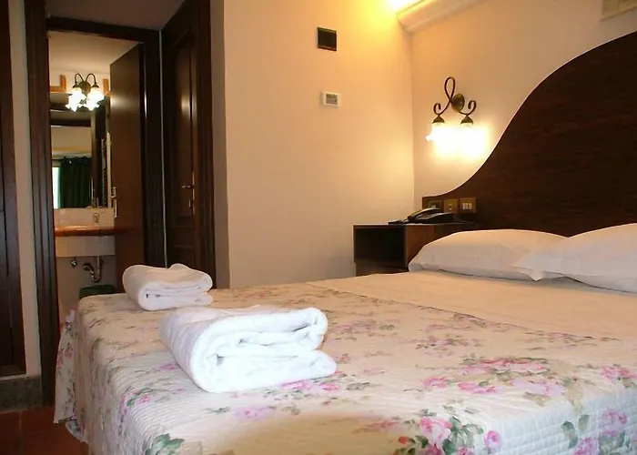 Hotel Okapi *